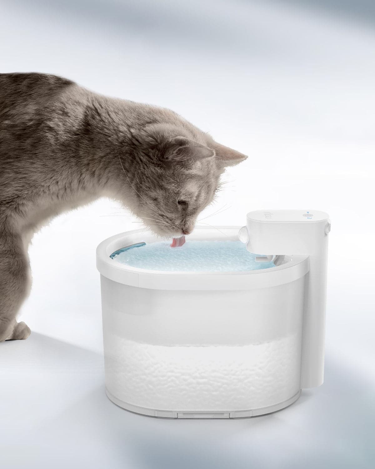 Pawzey ZERO Wireless and Automatic Cat Water Fountain